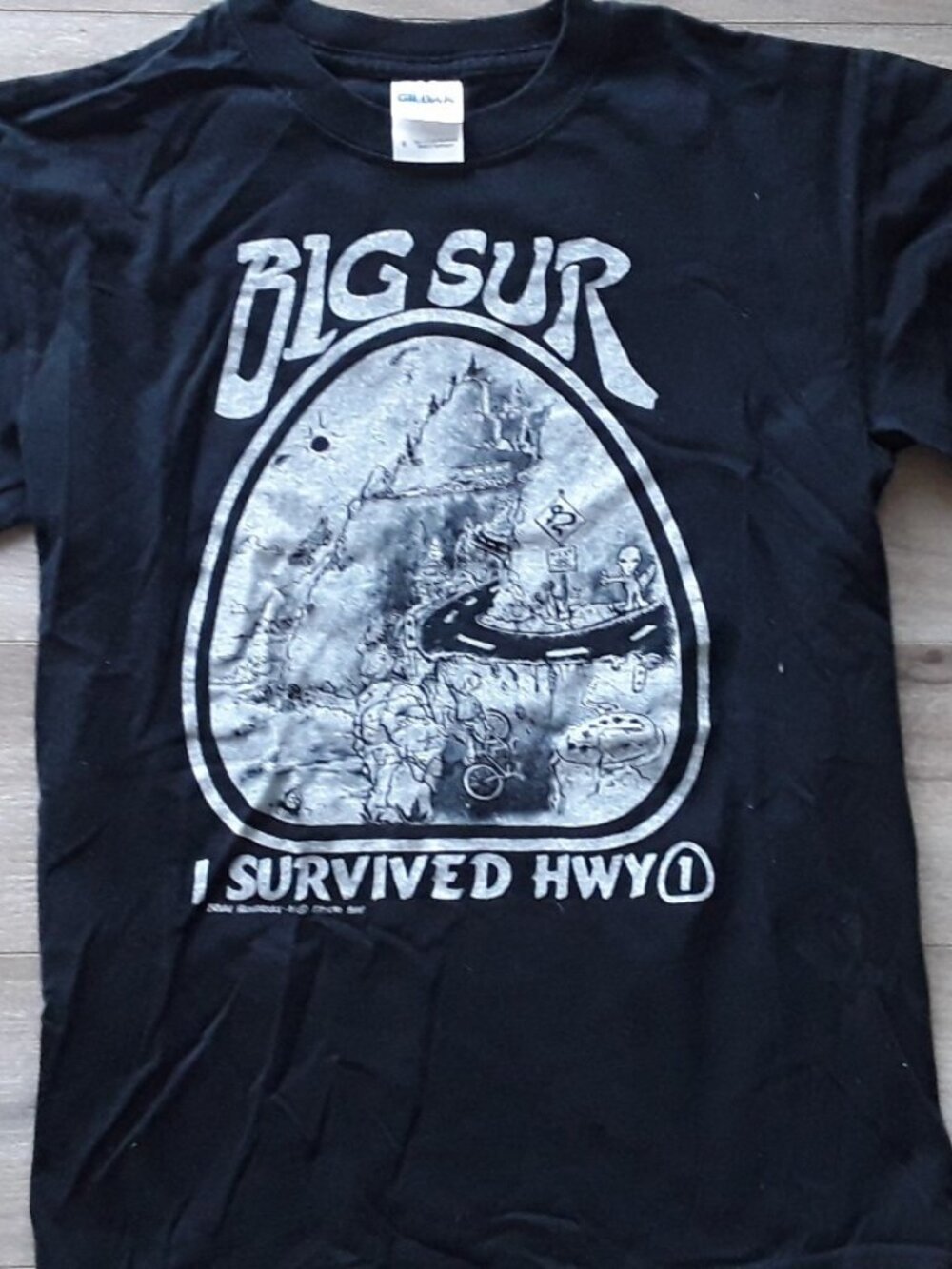 Big Sur I Survived Hwy 1 Graphic Tee 2010 Brian Hendricks Big Sur Shirt Co – S